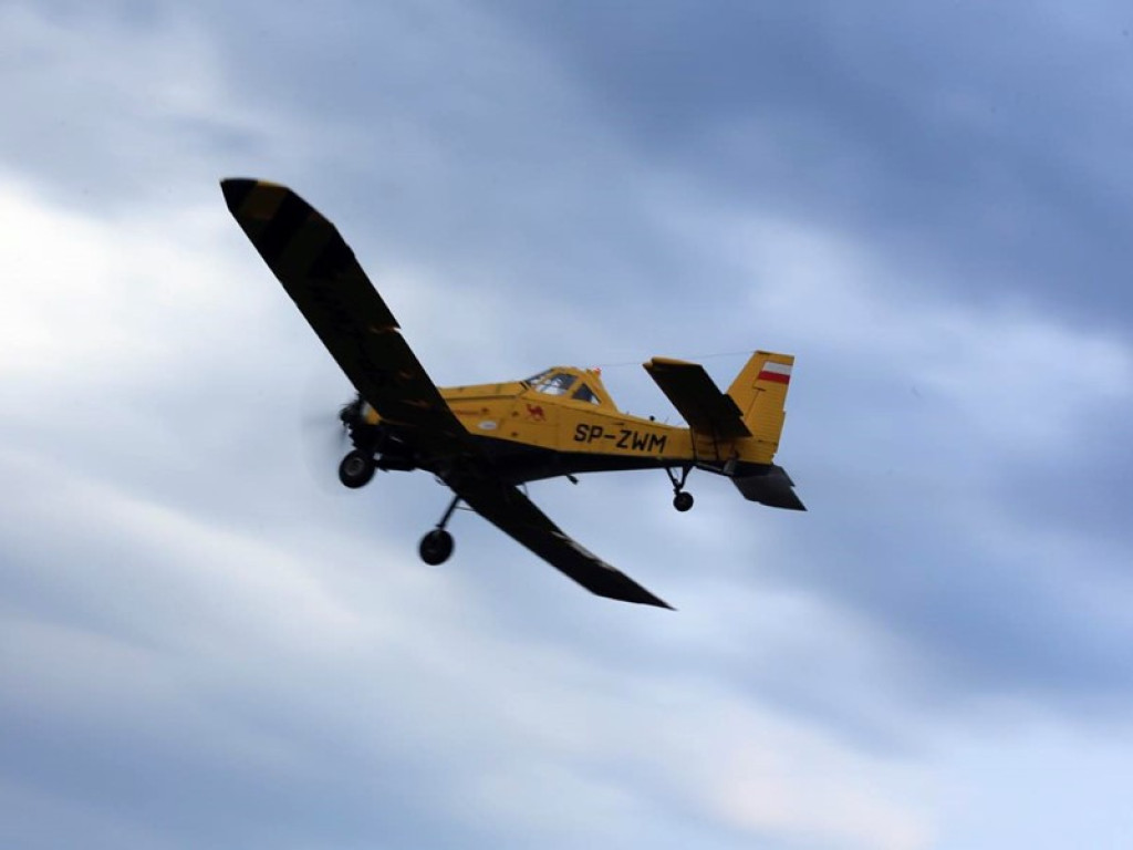 Strażacy walczą z żywiołem w morderczych warunkach! Płonie kilka hektarów ścierniska. ZOBACZ ZDJĘCIA