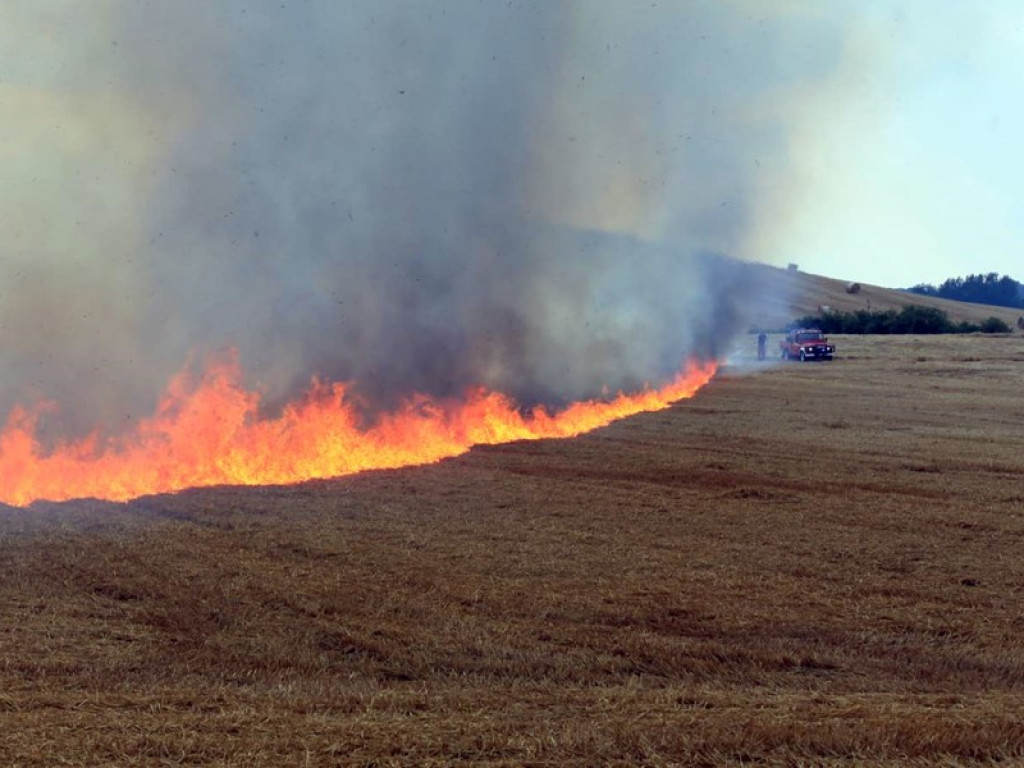 Strażacy walczą z żywiołem w morderczych warunkach! Płonie kilka hektarów ścierniska. ZOBACZ ZDJĘCIA