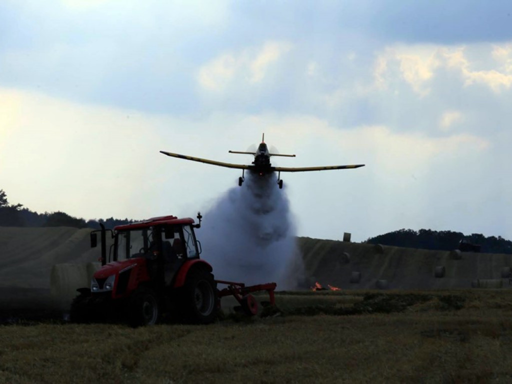 Strażacy walczą z żywiołem w morderczych warunkach! Płonie kilka hektarów ścierniska. ZOBACZ ZDJĘCIA