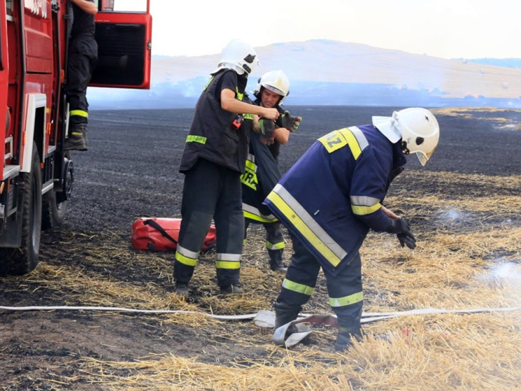 Strażacy walczą z żywiołem w morderczych warunkach! Płonie kilka hektarów ścierniska. ZOBACZ ZDJĘCIA