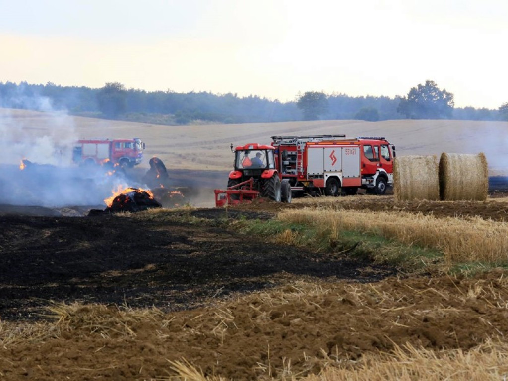 Strażacy walczą z żywiołem w morderczych warunkach! Płonie kilka hektarów ścierniska. ZOBACZ ZDJĘCIA
