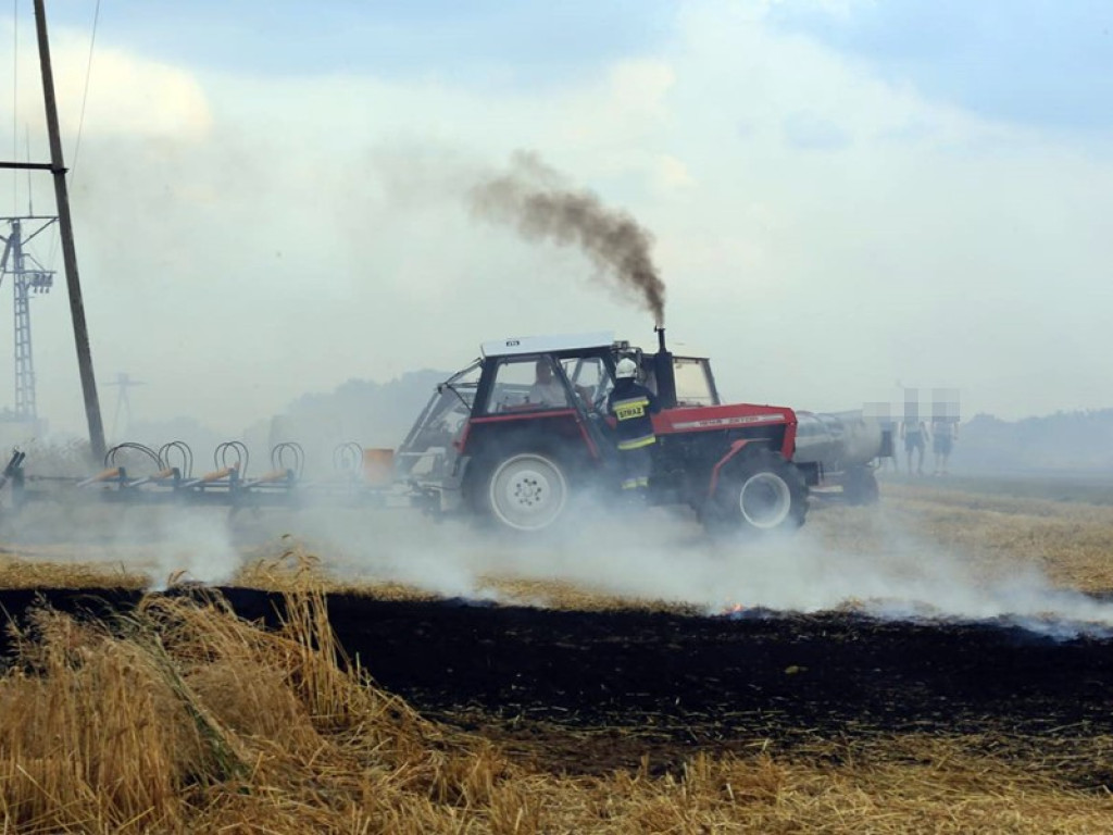 Strażacy walczą z żywiołem w morderczych warunkach! Płonie kilka hektarów ścierniska. ZOBACZ ZDJĘCIA