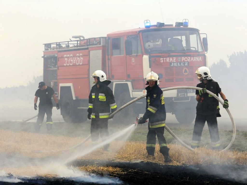 Strażacy walczą z żywiołem w morderczych warunkach! Płonie kilka hektarów ścierniska. ZOBACZ ZDJĘCIA