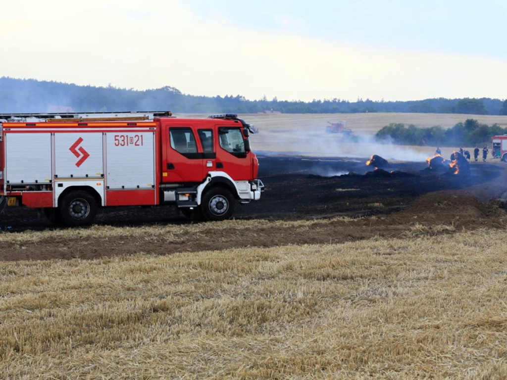 Strażacy walczą z żywiołem w morderczych warunkach! Płonie kilka hektarów ścierniska. ZOBACZ ZDJĘCIA