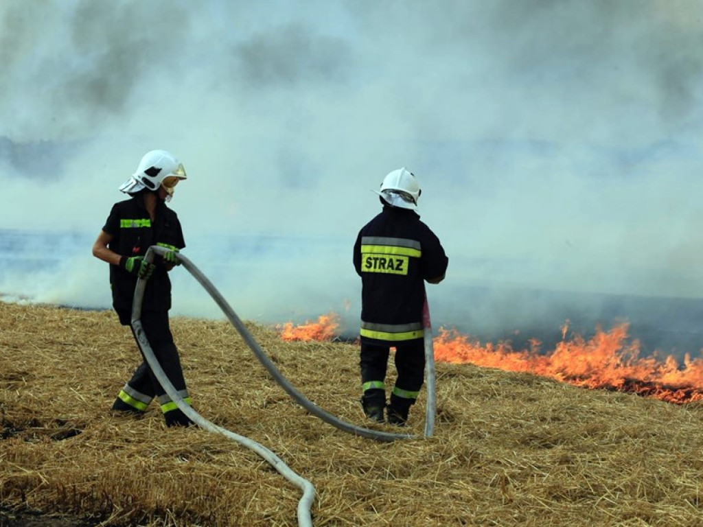 Strażacy walczą z żywiołem w morderczych warunkach! Płonie kilka hektarów ścierniska. ZOBACZ ZDJĘCIA