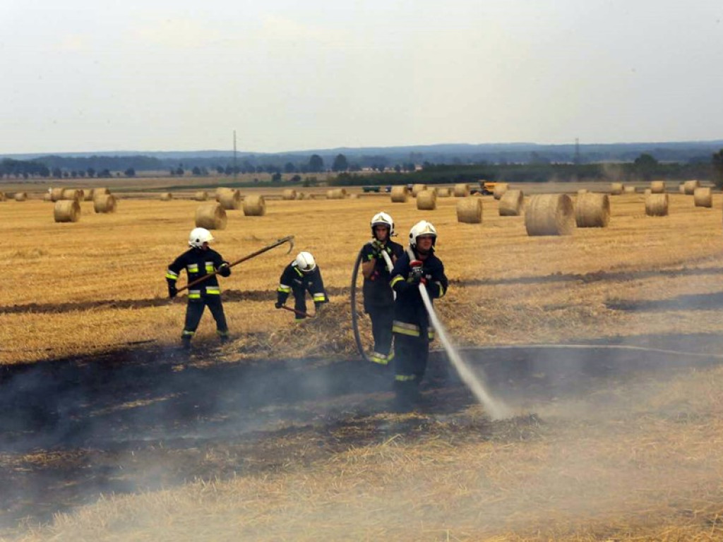 Strażacy walczą z żywiołem w morderczych warunkach! Płonie kilka hektarów ścierniska. ZOBACZ ZDJĘCIA