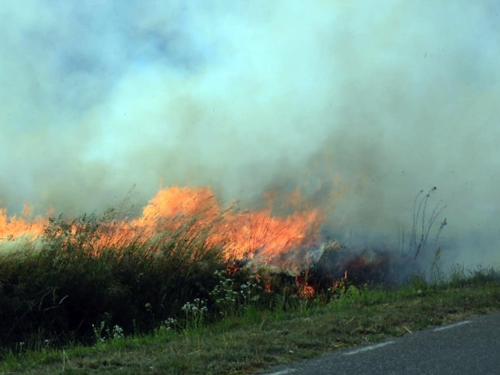 Strażacy walczą z żywiołem w morderczych warunkach! Płonie kilka hektarów ścierniska. ZOBACZ ZDJĘCIA