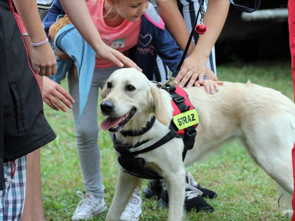 Wakacyjna Strefa Animacji - na dzieci czekało wiele atrakcji. Była to świetna zabawa!