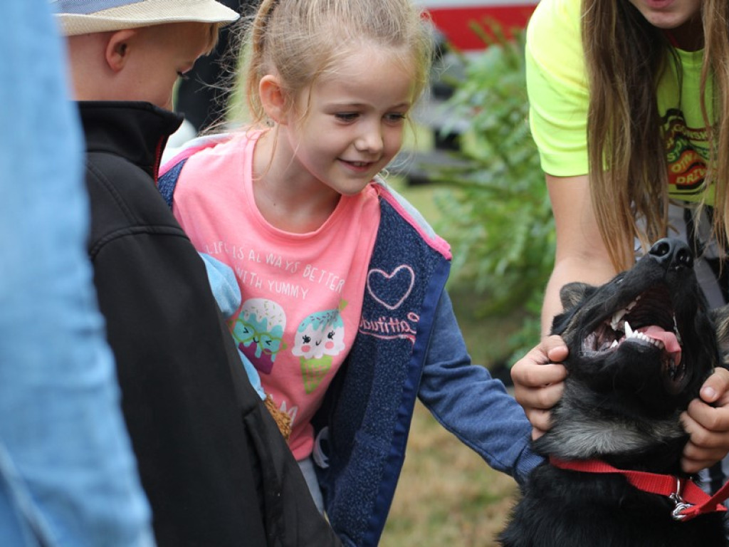 Wakacyjna Strefa Animacji - na dzieci czekało wiele atrakcji. Była to świetna zabawa!