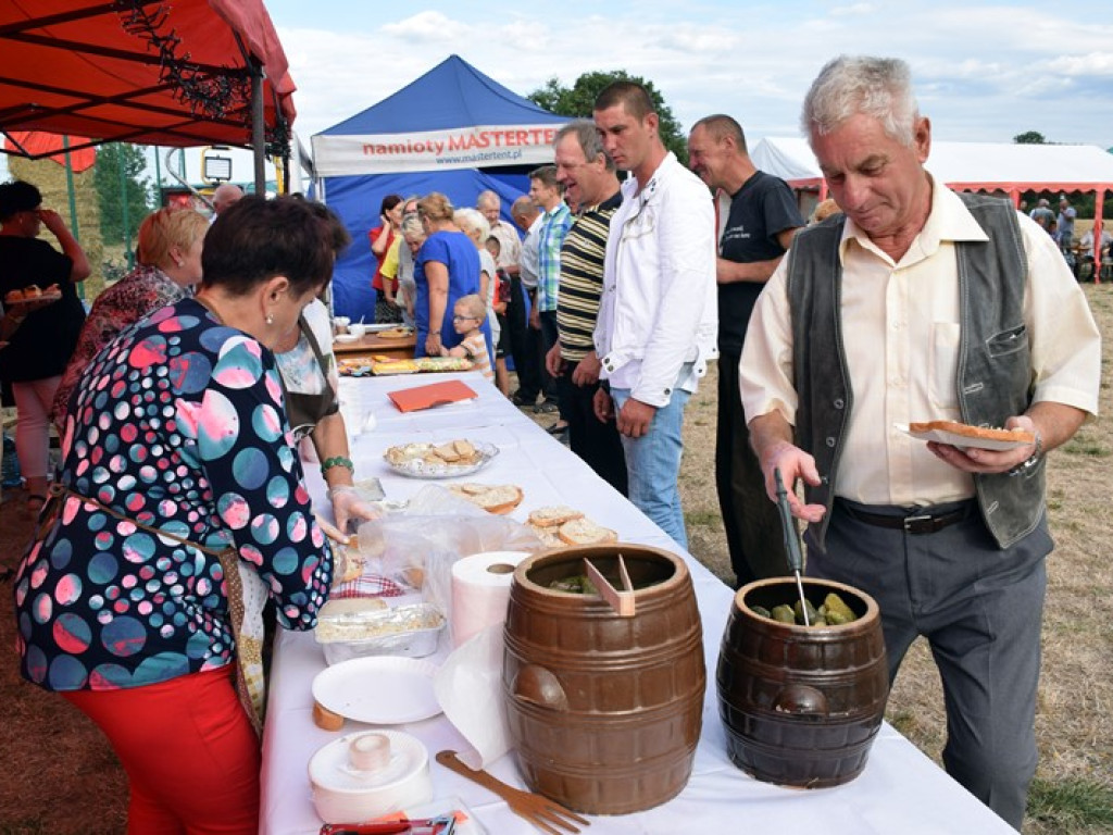 Nowa rada sołecka i sołtys zorganizowały uroczystość dla wsi oraz okolic