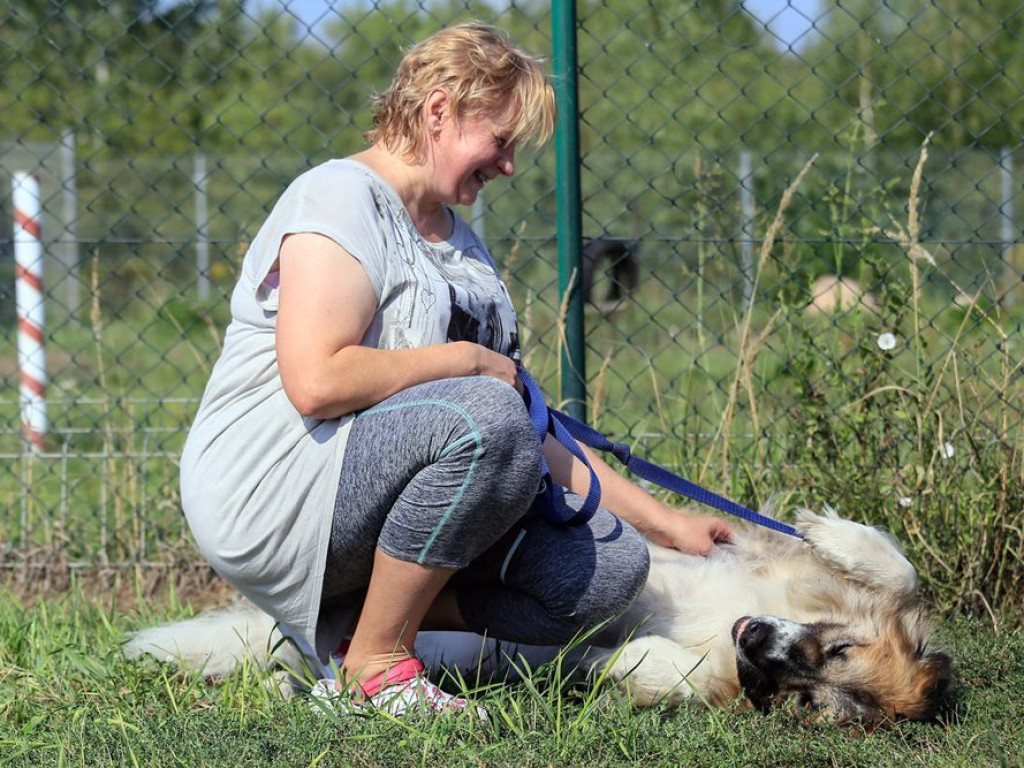 Kochasz zwierzaki? Schronisko szuka do pomocy wolontariuszy