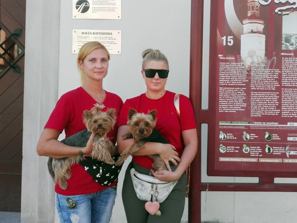 Zwiedzanie Głogowa nigdy nie było takie proste. Wystarczy jedno kliknięcie