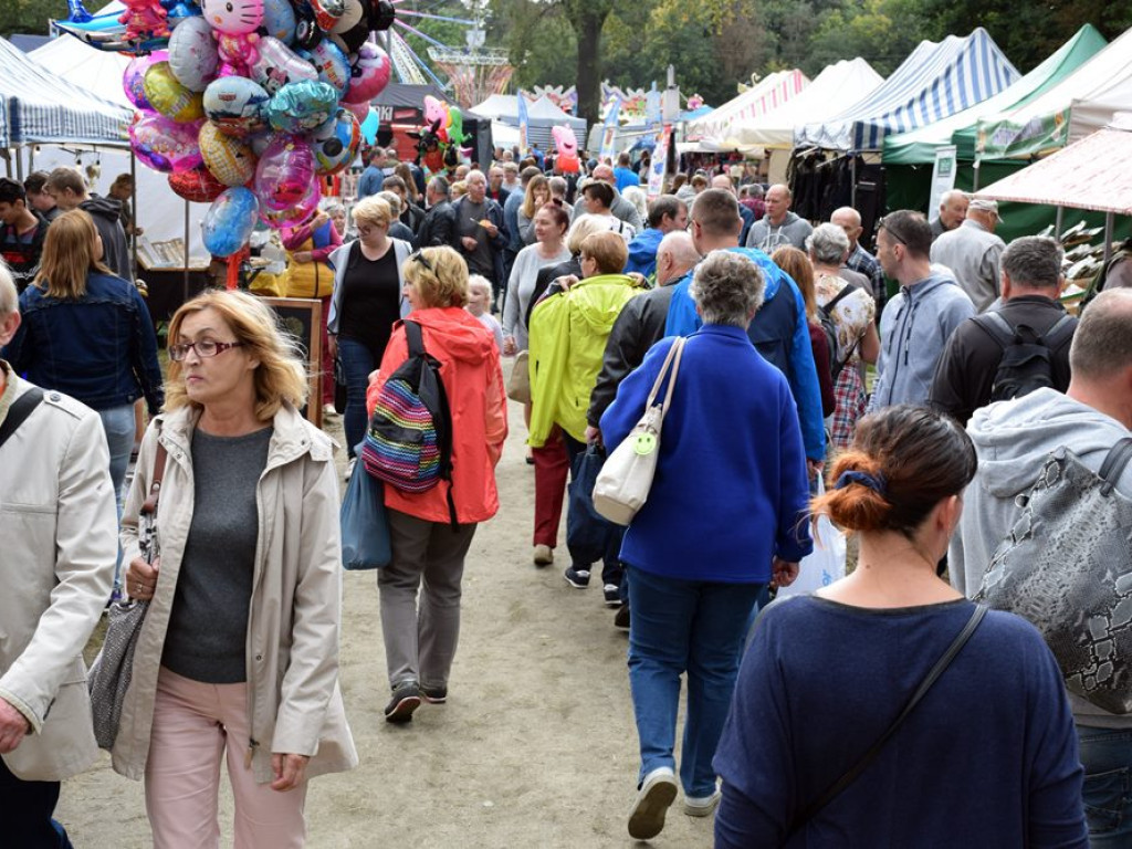 Trwa Dolnośląskie Święto Miodu i Wina w Przemkowie. Dziś na zakończenie Wilki