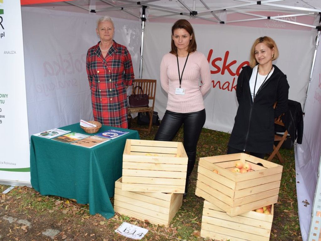 Trwa Dolnośląskie Święto Miodu i Wina w Przemkowie. Dziś na zakończenie Wilki