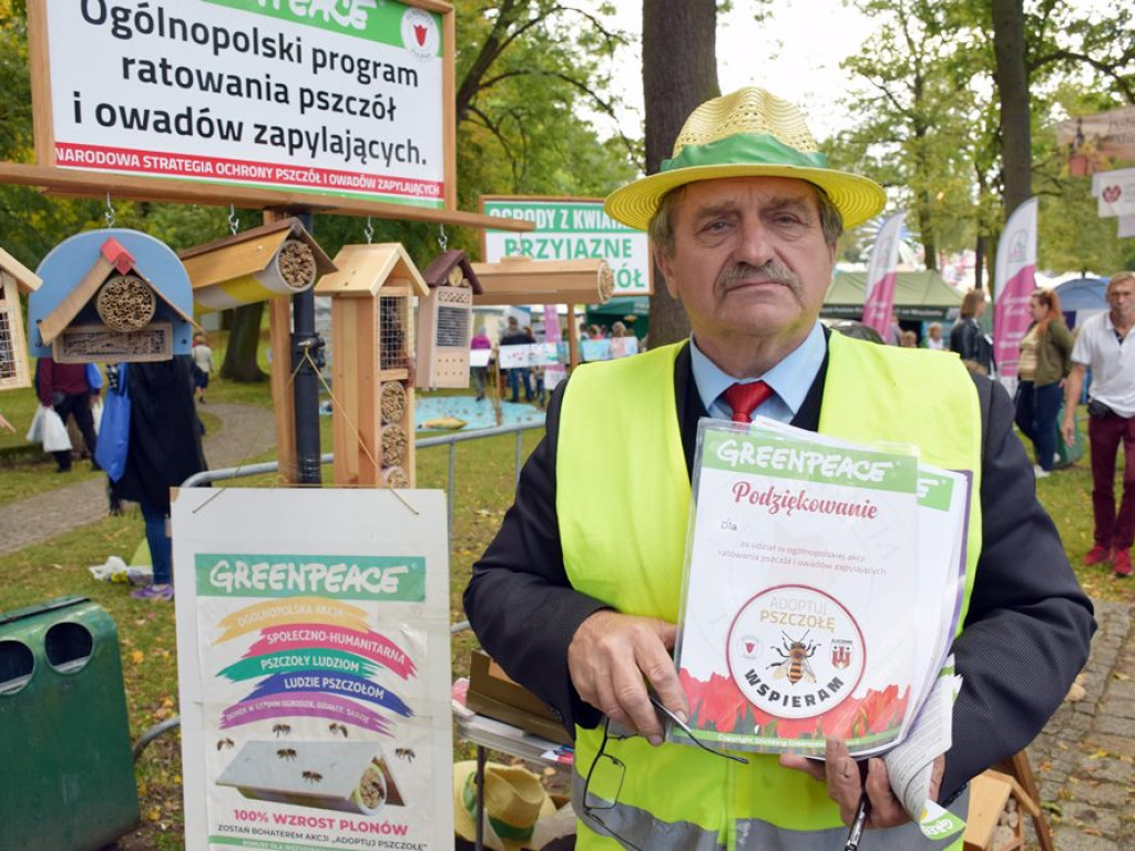 Trwa Dolnośląskie Święto Miodu i Wina w Przemkowie. Dziś na zakończenie Wilki