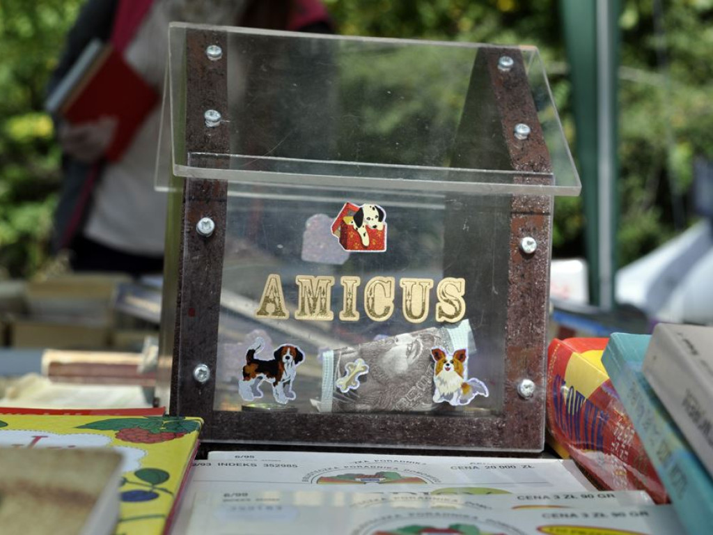 Kiermasz książek z pomocą dla zwierzaków. Akcja Amicusa cieszy się dużym zainteresowaniem