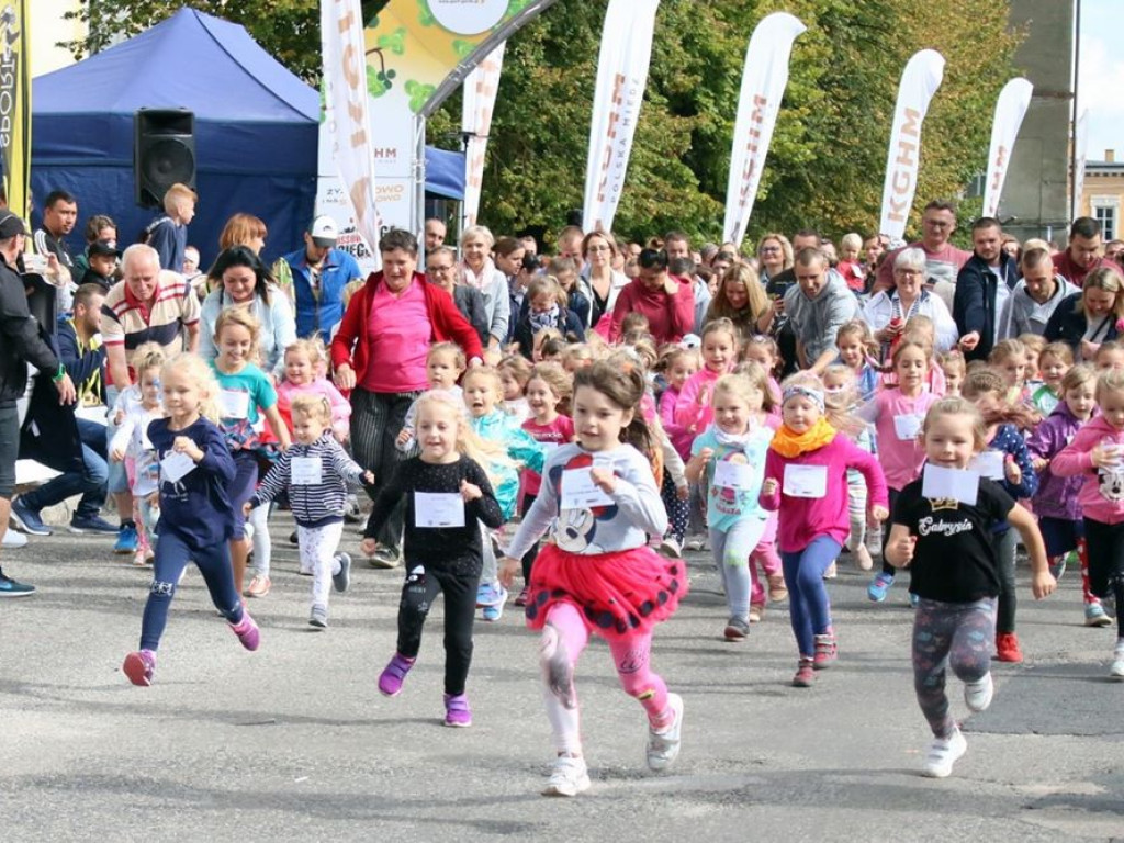 Biegli po miód w Przemkowie. Na starcie setki uczestników