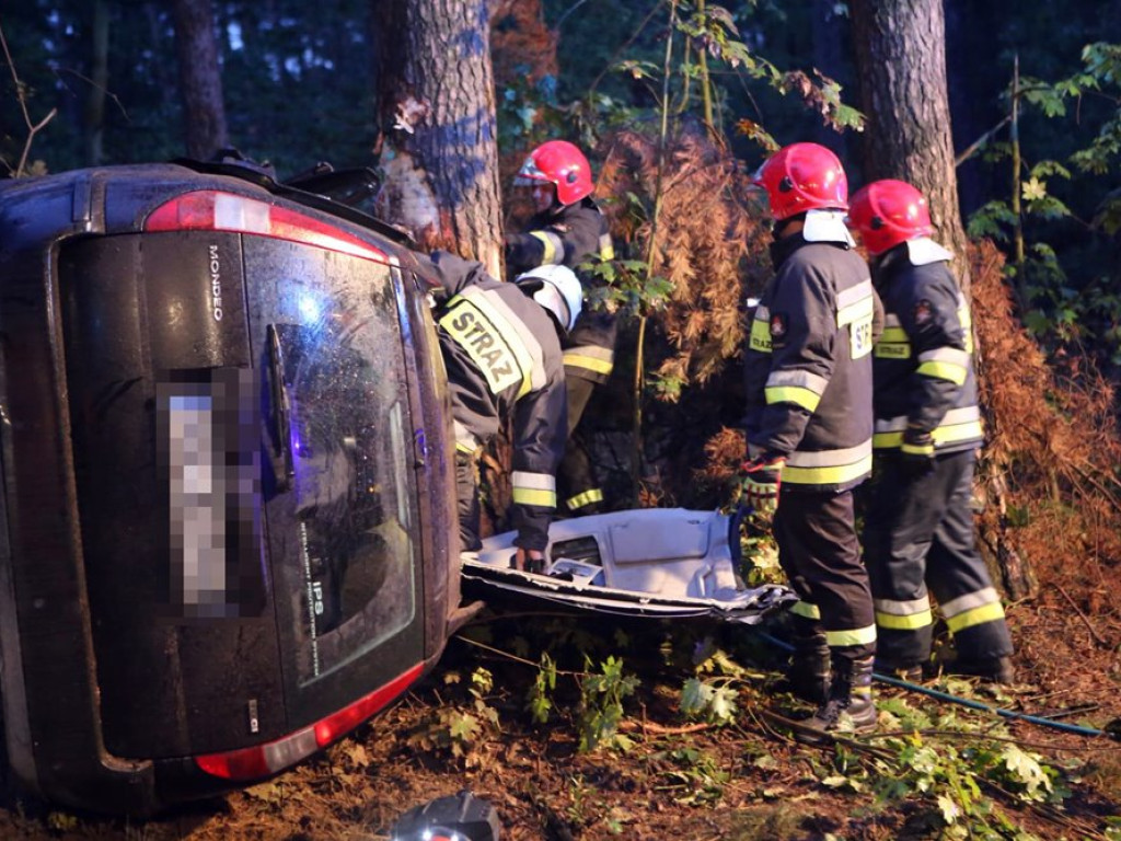 Uderzyła w dzika i dachowała w rowie. Wypadek koło Zaszkowa
