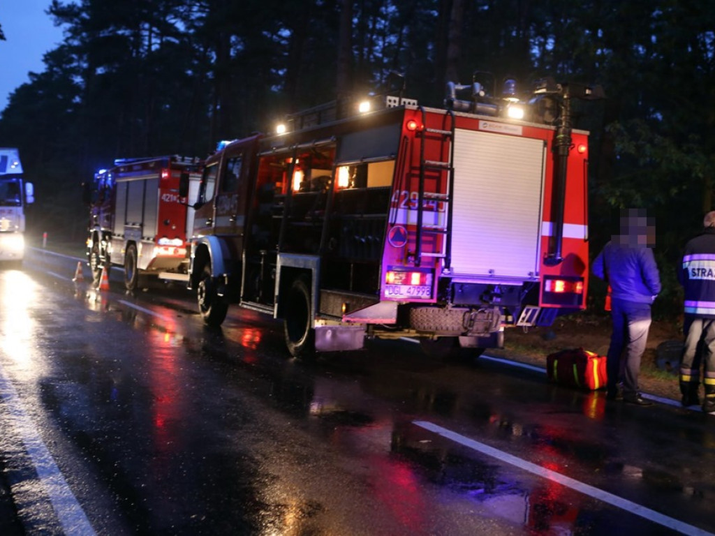 Uderzyła w dzika i dachowała w rowie. Wypadek koło Zaszkowa