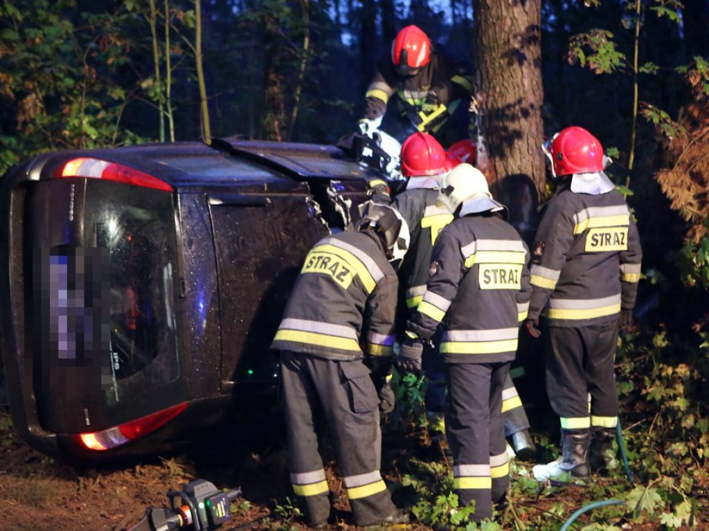 Uderzyła w dzika i dachowała w rowie. Wypadek koło Zaszkowa