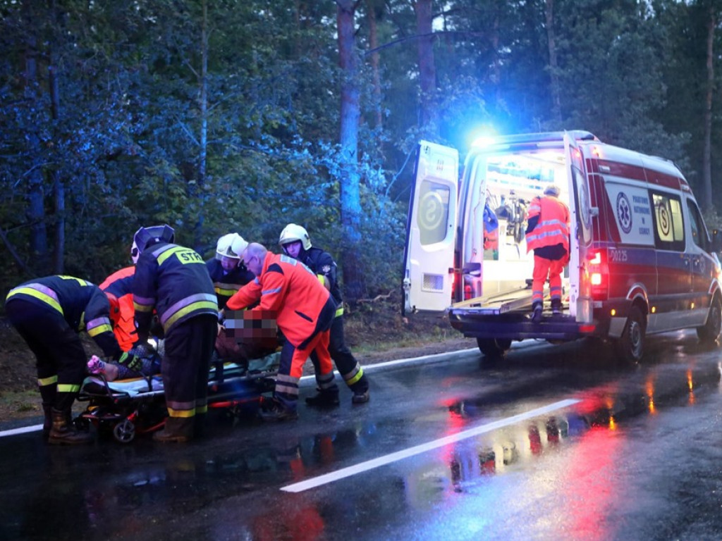 Uderzyła w dzika i dachowała w rowie. Wypadek koło Zaszkowa