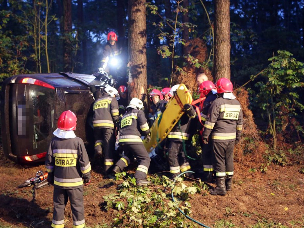 Uderzyła w dzika i dachowała w rowie. Wypadek koło Zaszkowa