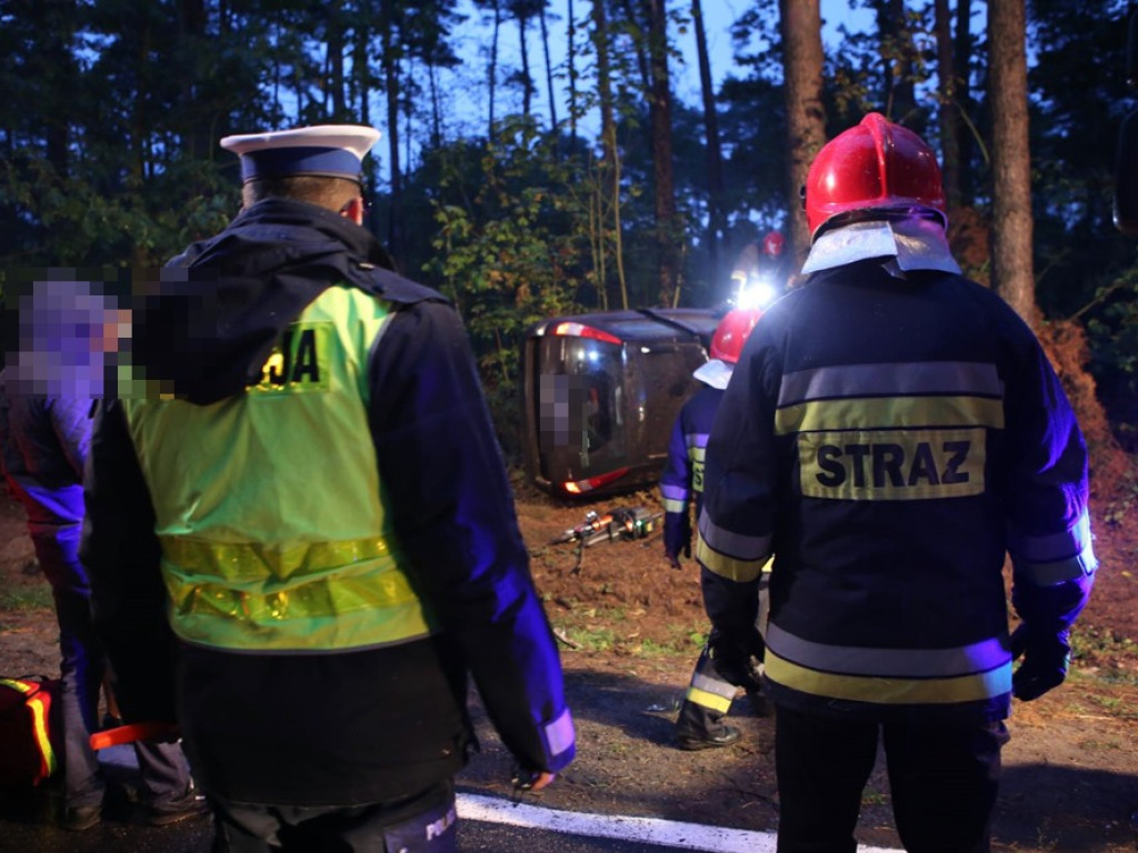 Uderzyła w dzika i dachowała w rowie. Wypadek koło Zaszkowa