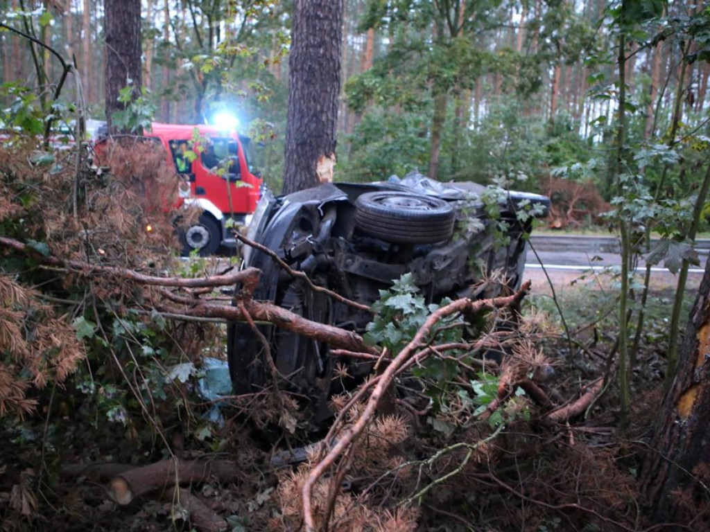 Uderzyła w dzika i dachowała w rowie. Wypadek koło Zaszkowa