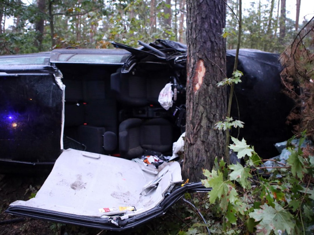 Uderzyła w dzika i dachowała w rowie. Wypadek koło Zaszkowa