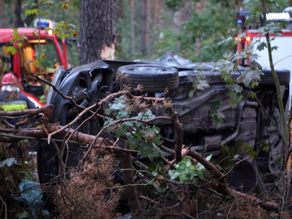 Uderzyła w dzika i dachowała w rowie. Wypadek koło Zaszkowa