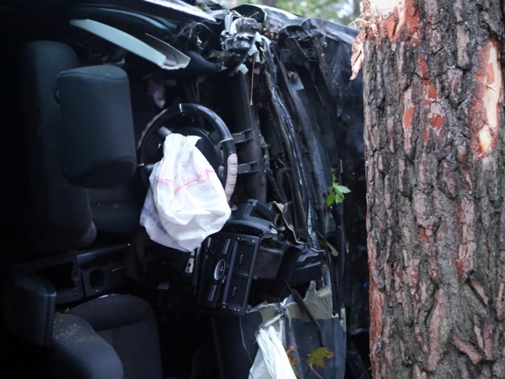 Uderzyła w dzika i dachowała w rowie. Wypadek koło Zaszkowa