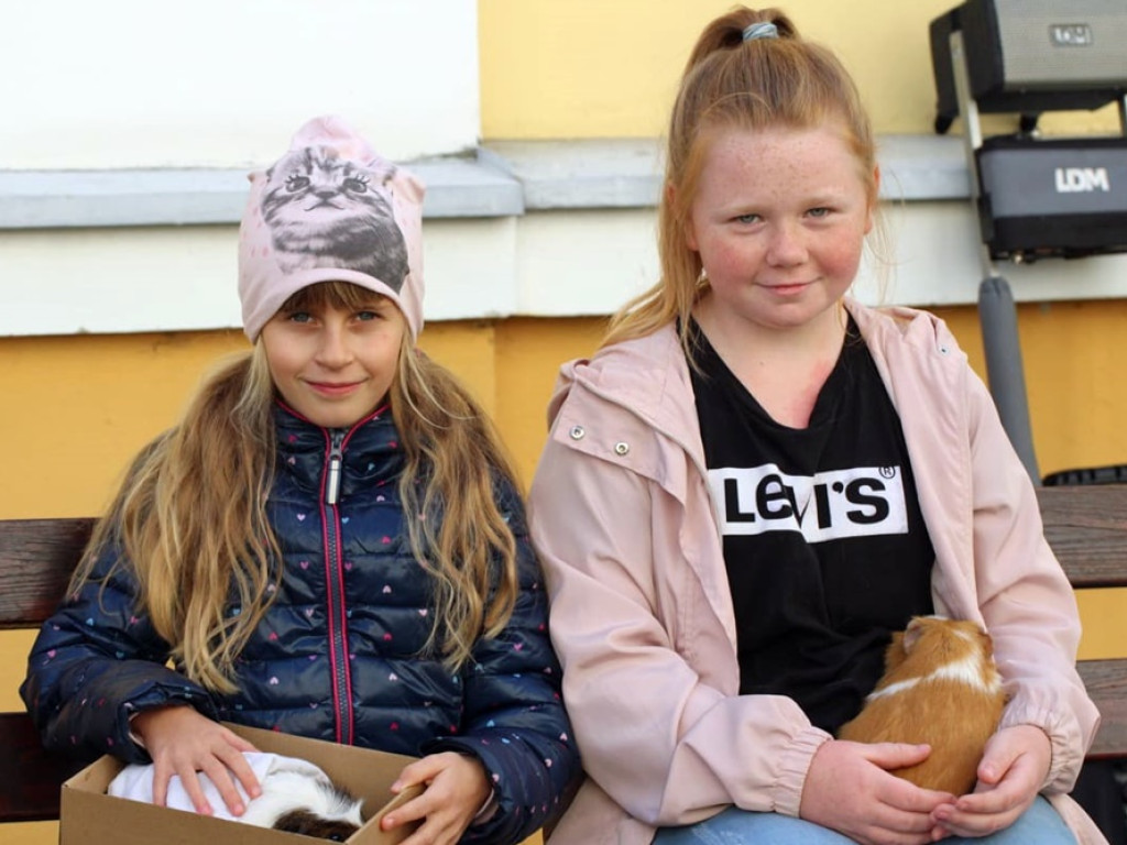 Psy, koty, chomiki, świnki morskie i inne na błogosławieństwie