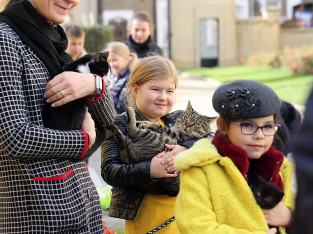 Psy, koty, chomiki, świnki morskie i inne na błogosławieństwie