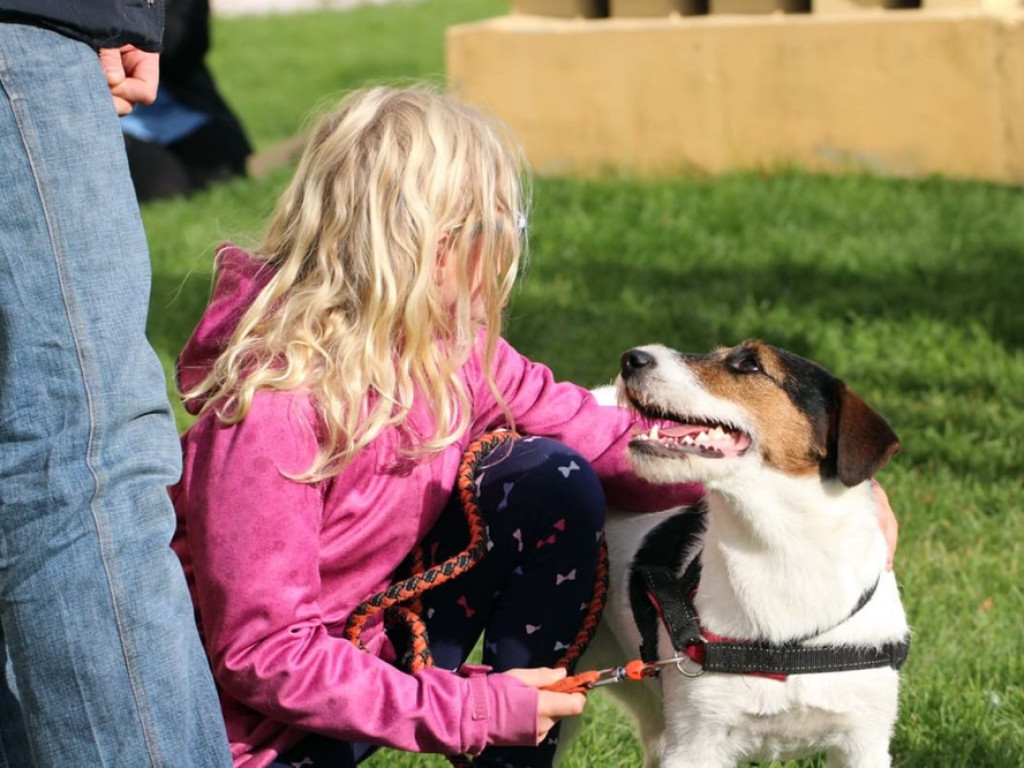 Psy, koty, chomiki, świnki morskie i inne na błogosławieństwie
