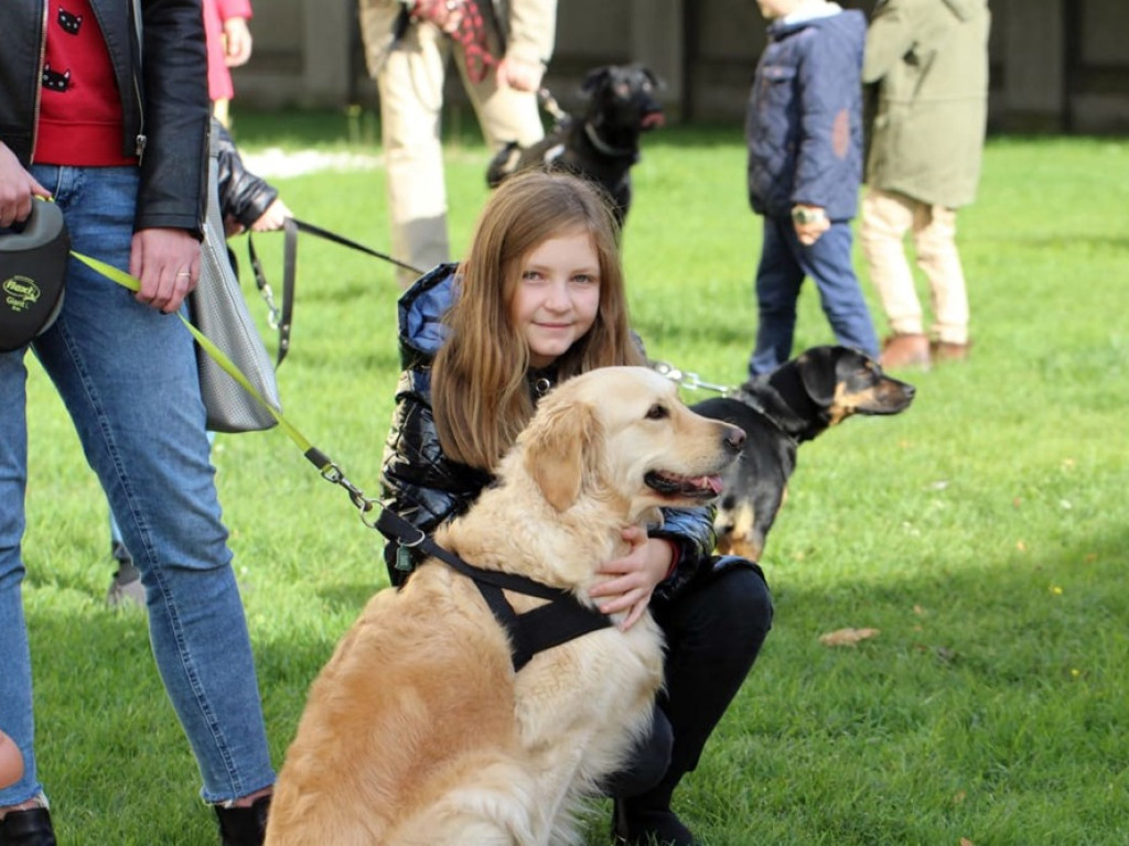 Psy, koty, chomiki, świnki morskie i inne na błogosławieństwie