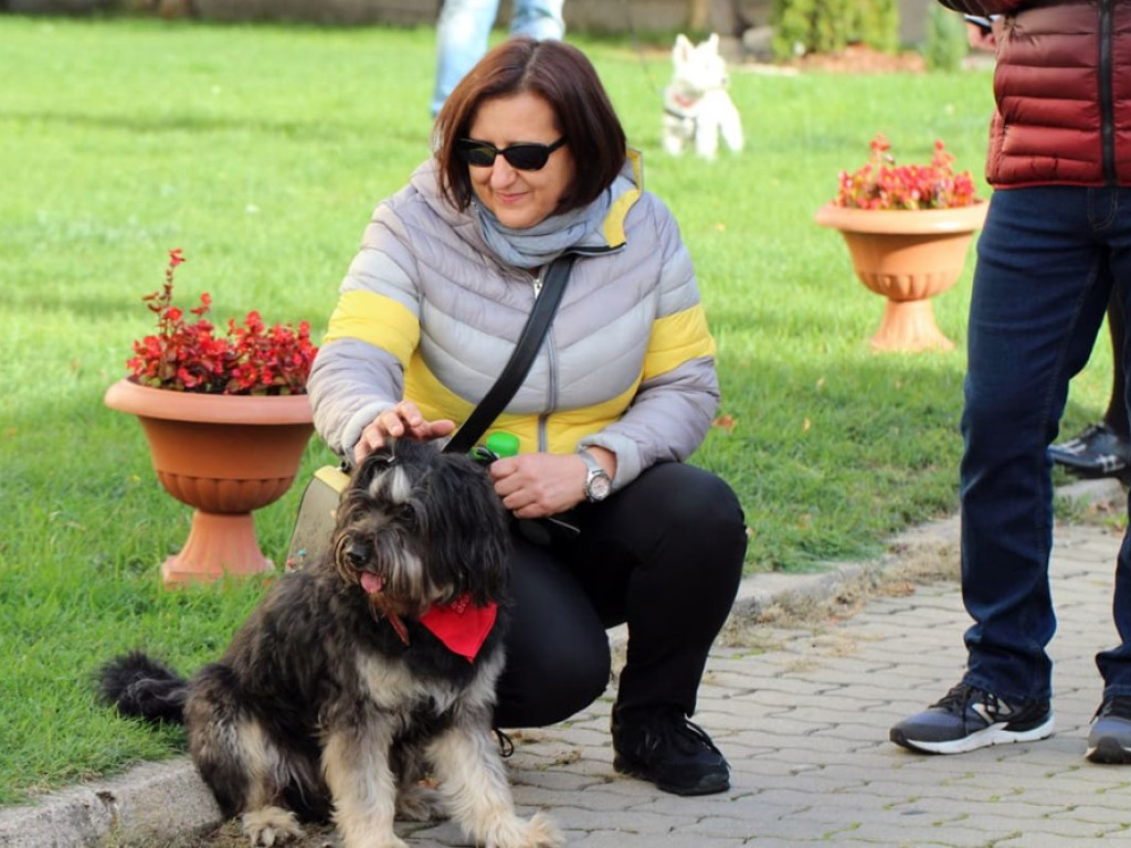 Psy, koty, chomiki, świnki morskie i inne na błogosławieństwie