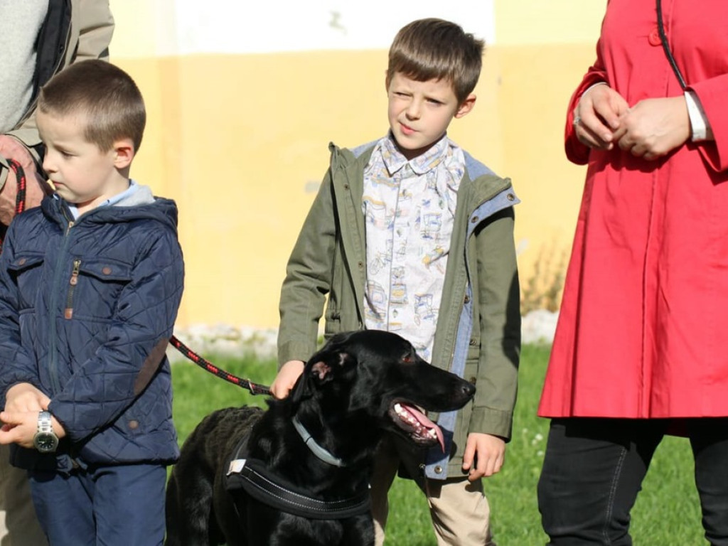 Psy, koty, chomiki, świnki morskie i inne na błogosławieństwie