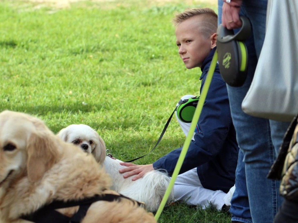 Psy, koty, chomiki, świnki morskie i inne na błogosławieństwie