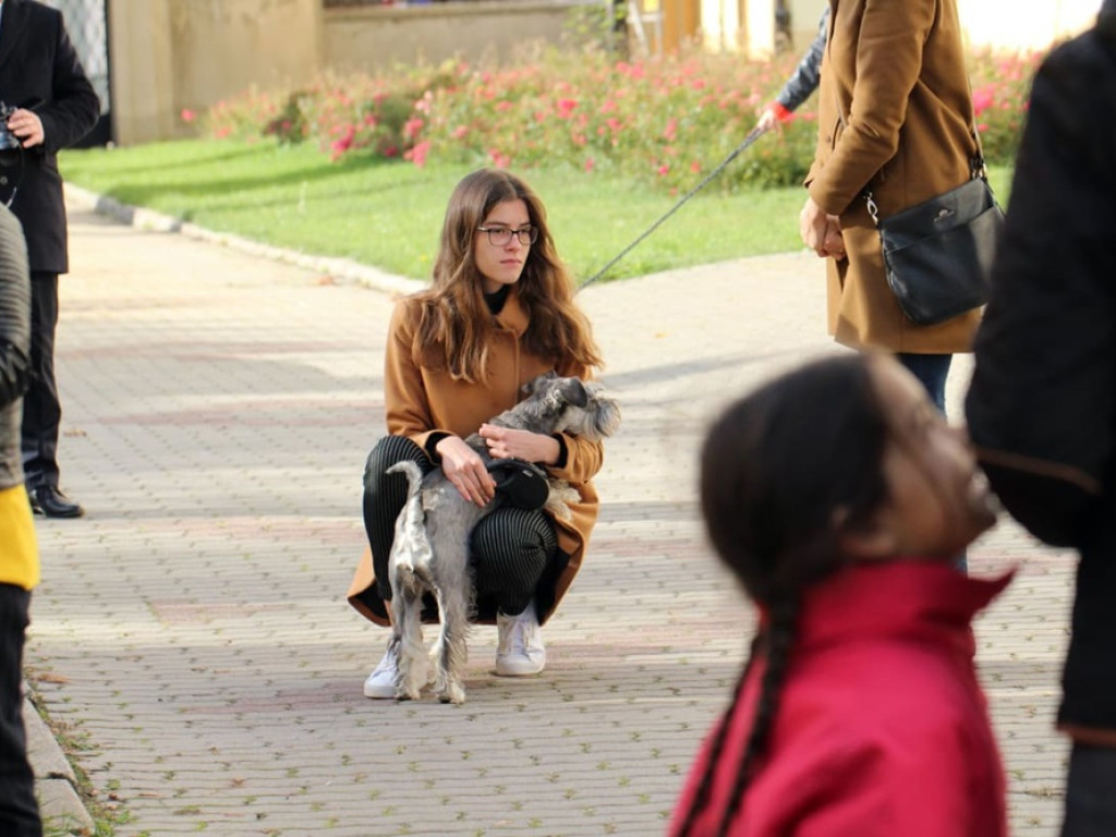 Psy, koty, chomiki, świnki morskie i inne na błogosławieństwie