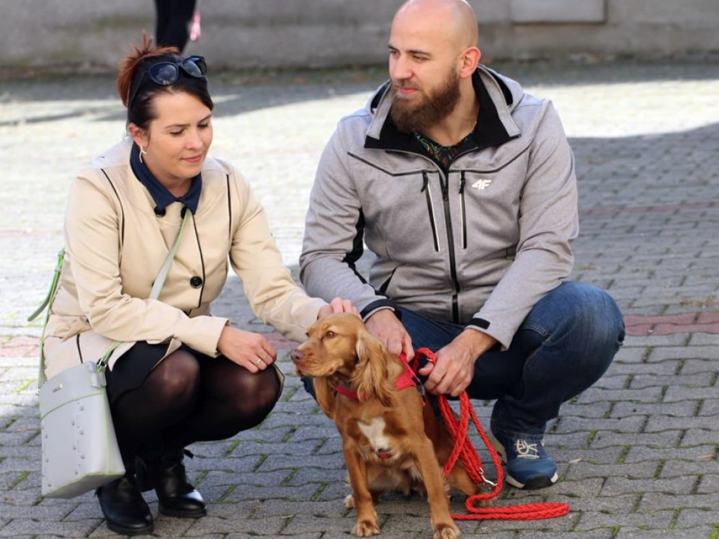 Psy, koty, chomiki, świnki morskie i inne na błogosławieństwie