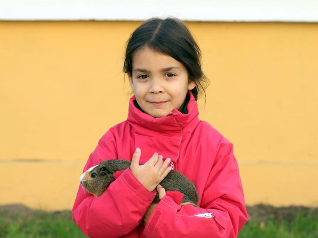 Psy, koty, chomiki, świnki morskie i inne na błogosławieństwie