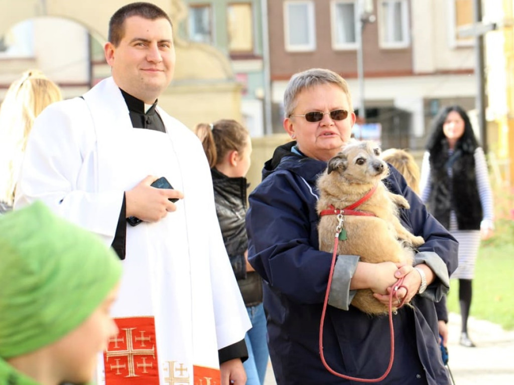 Psy, koty, chomiki, świnki morskie i inne na błogosławieństwie