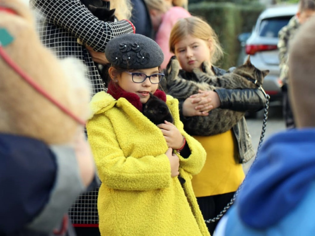 Psy, koty, chomiki, świnki morskie i inne na błogosławieństwie