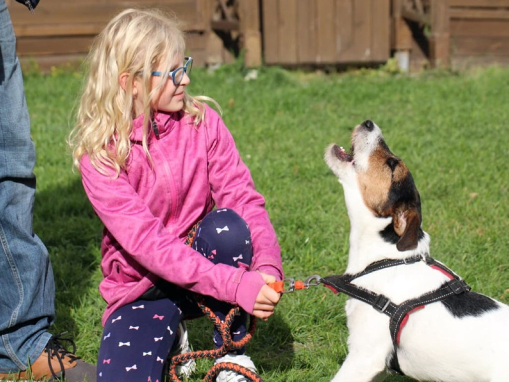 Psy, koty, chomiki, świnki morskie i inne na błogosławieństwie