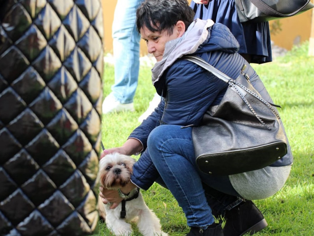 Psy, koty, chomiki, świnki morskie i inne na błogosławieństwie