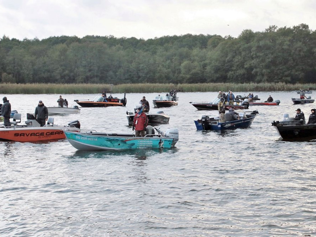 Grube ryby pływały nie tylko w wodzie
