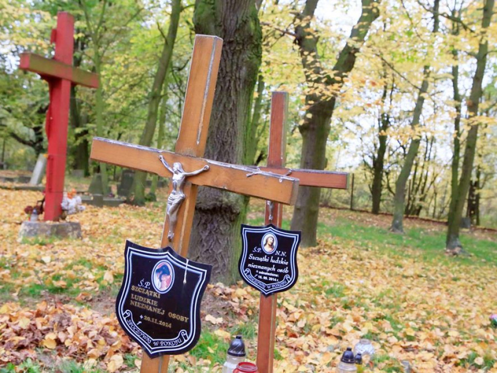 Studenci uprzątnęli groby osób nieznanych na cmentarzu na Biechowie