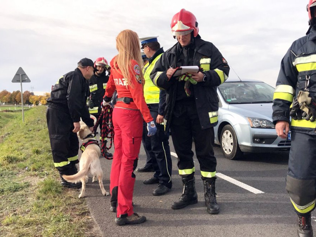 Kolizja trzech samochodów na jerzmanówce, tuż przed zwężeniem drogi