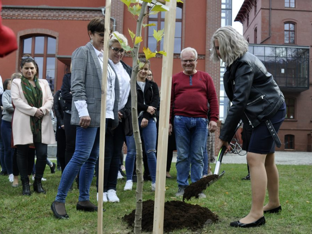 To już 15 lat uczelni! Dziś posadzili drzewko, jutro uroczysta gala