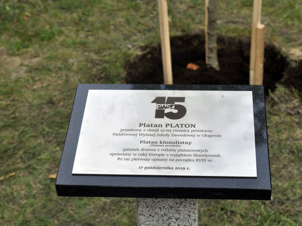 To już 15 lat uczelni! Dziś posadzili drzewko, jutro uroczysta gala